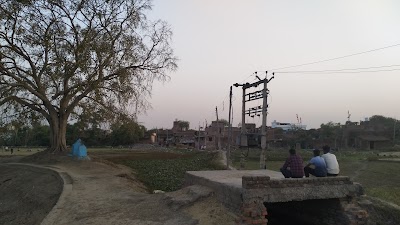 COLLSYTVQW7K_Pyarepur.sarmera.nalanda_ChIJwbdcH_lp8jkRLT3Pg3ZI0zk_2