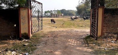 COLLT4MDMUUP_S.K_College_Lohanda_Sikandra_ChIJqRIaNGsx8jkRSW3foJw2Cxg_5