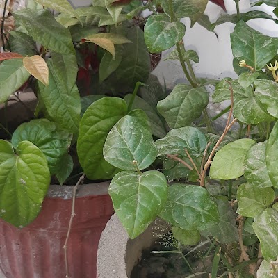 DANCEGM7HWBC_The_DANCE_Garten_ChIJm0BSntMa8jkRoVTETuqSW9o_9