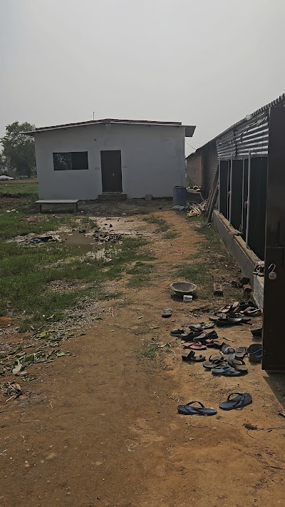 MANF1IQRCPW4_Green_Poultry_Palace_ChIJH6x1dgAj8jkR5HGXr7DX9VY_4