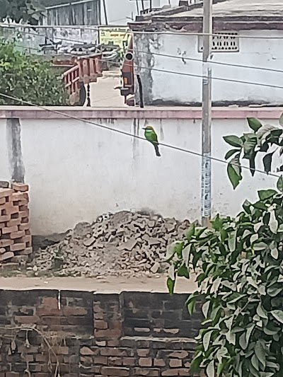 MANF85WTG5H8_Aman_singh_ChIJS8NgYQAX8jkRwGIRUzrCnG4_2