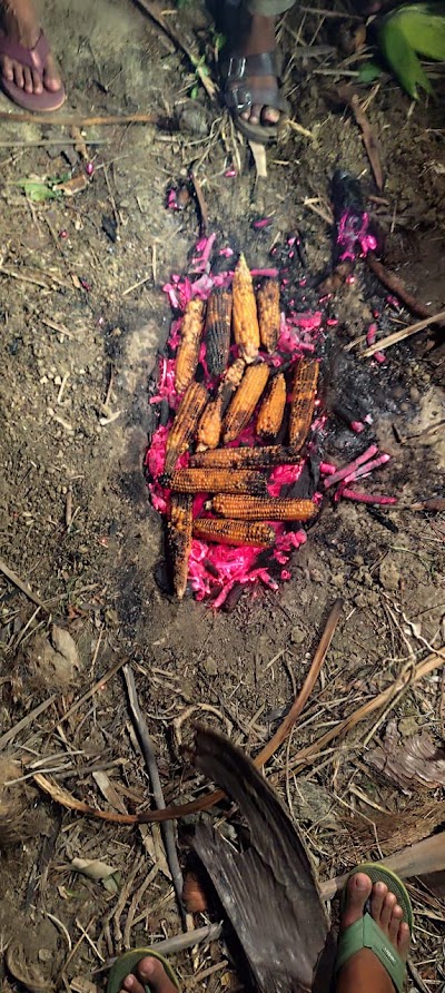 MANFBMMDHD2I_Taushif_poultry_farm_ChIJO5UcJtdJ8jkRGoR3fmiTuWI_1