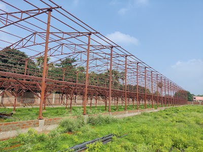 MANFHC2G7PO4_Krishisutra_Agro_Pullet_Farms_ChIJ0Sx-Myw98jkRnxmjNAj_XWM_5