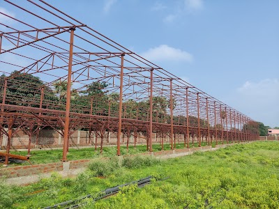 MANFHC2G7PO4_Krishisutra_Agro_Pullet_Farms_ChIJ0Sx-Myw98jkRnxmjNAj_XWM_8