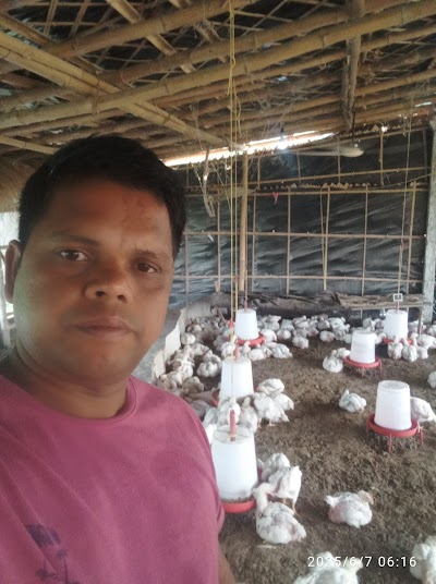 MANFJDZF6ROK_Paultri_ChIJBR_HEkgl8jkRanMV8cMTmx8_2