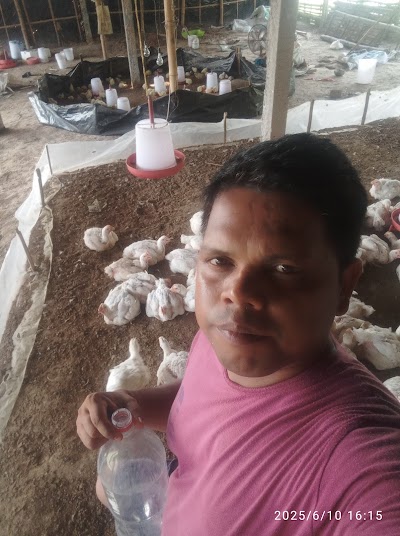 MANFJDZF6ROK_Paultri_ChIJBR_HEkgl8jkRanMV8cMTmx8_3