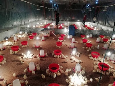 MANFM5CFYUA9_NR_Integrated_Farm_ChIJTcARJ3pH8jkRtIjEzOTHu8k_1