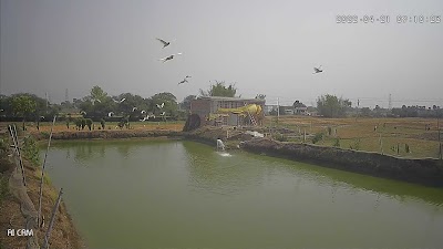 MANFM5CFYUA9_NR_Integrated_Farm_ChIJTcARJ3pH8jkRtIjEzOTHu8k_2