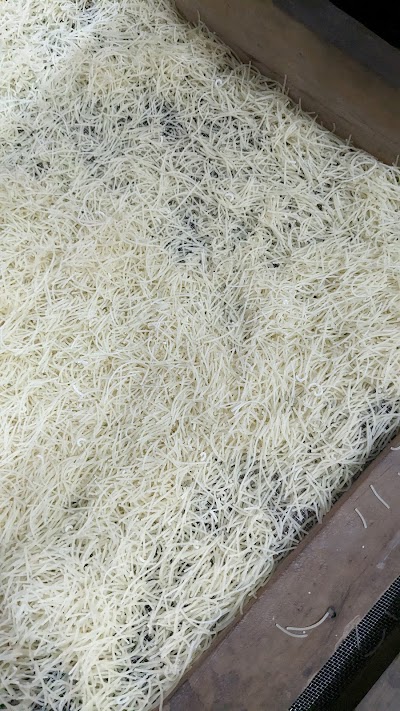 MANFOYIQTEZM_A_A_Production_ChIJ_2PaClRH8jkRQiSIhYec2-4_4