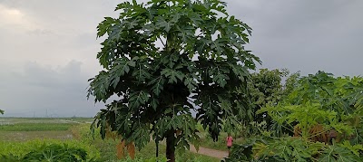 MANFS26L94YZ_Poultry_farm_ChIJ8YtbPDb18TkRtv0elqt6BTs_3