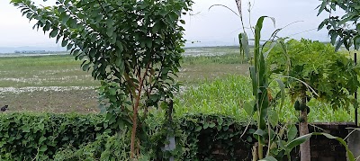 MANFS26L94YZ_Poultry_farm_ChIJ8YtbPDb18TkRtv0elqt6BTs_4