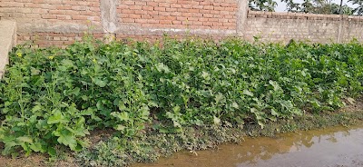 MANFS26L94YZ_Poultry_farm_ChIJ8YtbPDb18TkRtv0elqt6BTs_6