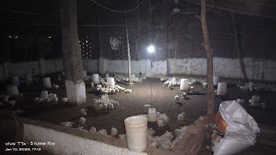 MANFT7KTN4SH_Sonu_poultryfarm_ChIJVZBLnNAj8jkR8sC3S1dCf1A_4