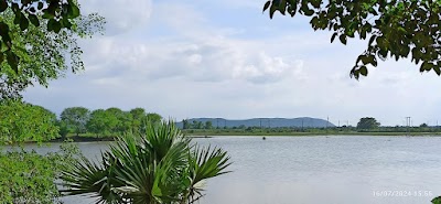 SCHO0BI6D5UX_Pawai_Upgraded_Middle_School_ChIJHRXSWQ0h8jkRC_rj_jngRzY_5