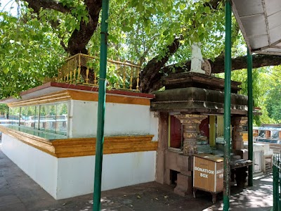 SCHO659UK3X0_Rising_Star_Public_School_ChIJg2dWynlH8jkRr5ImwPD6jVI_2