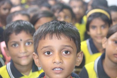 SCHO6H2ZORSJ_KidzKart_ChIJj9E_OY0l8jkRpOZ_dO9mTpA_3