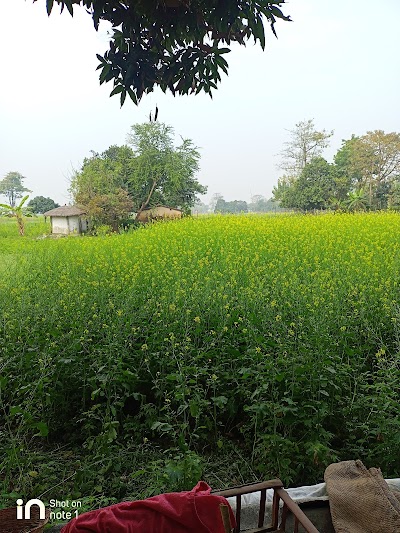 SCHOFW2BNYXI_Indupur_Primary_School_2_ChIJOXnYc3sW8jkRfEuY6Y1wX7Q_4