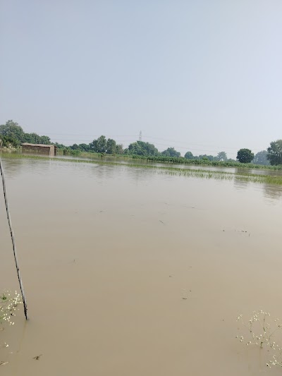 SCHOI6M1DMRZ_High_school_Laldiyara_ChIJc1a_JxoY8jkRfjtggKvptSc_7