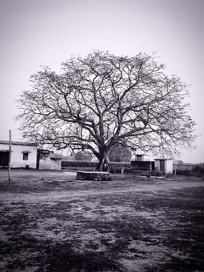 SCHONTHXPONO_Middle_School_Ramnagar_ChIJt9Zl6GMj8jkRBBoHreOuTag_3