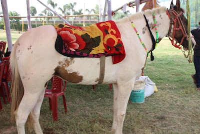 SCHOPFZWNCHY_Kumar_Progressive_School_ChIJF2FrnLg78jkRL6LrOzX7CfQ_7