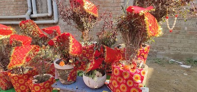 SCHOPTM6N43I_ARYA_KIDS_CARE_A_PLAY_SCHOOL_ChIJdcpwk6Qj8jkRqkFjM0iHtyo_4