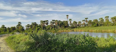 SCHOWS44DI3S_Primary_School_Agat_ChIJN0cYJLAx8jkRjQCOJPKKaI8_1