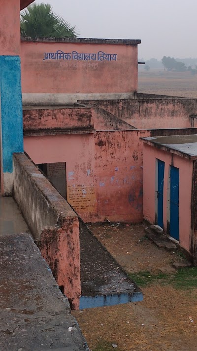 SCHOY0W2UDZ0_Primary_School_Tiyay_ChIJgws5MhI58jkR7Y7-rh6Xo_0_4