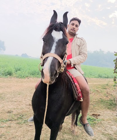 SCHOYNMN3DPK_primary_school_pathua_ChIJcwZ_COMY8jkRGUsvsHeuzto_1