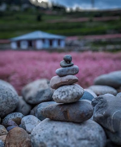 STATNU9M8SVA_Rose_print_ChIJ2VH4Rusb8jkRjWSErqm13xI_10