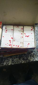 BAKEXQUEJSQO_Hindustan_bekery_ChIJrWFI5r8x8jkR4FB3cEdky9g_6