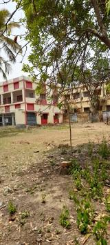 COLL4JNFHSMO_Sanjay_Gandhi_Smarak_Mahila_College_Sheikhpura_ChIJYT_ce1VB8jkRC9TloHiNnH8_10