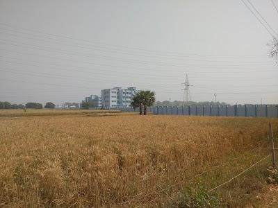 COLL6IUMILQM_Govt._ITI_Lakhisarai_ChIJD5Alh0Ij8jkRr8hndWYwp3s_8