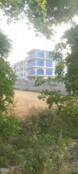 COLLLBYJ482T_Sheikhpura_Institute_of_Nursing___Paramedical_Sciences_ChIJJWPoHw9F8jkRPzbLbe6Fs8Q_1