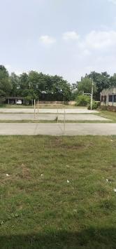 COLLU3WOB59N_BNM_COLLAGE_ChIJkxIF-osW8jkRJdsdeGI1RG4_3