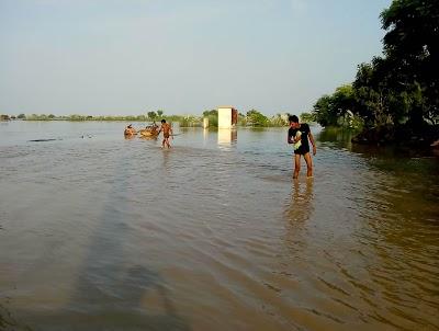 COLLU3WOB59N_BNM_COLLAGE_ChIJkxIF-osW8jkRJdsdeGI1RG4_9