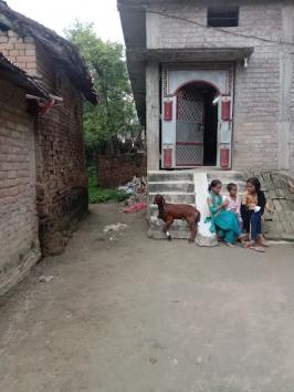 ELECRZEWQVZP_ANAMIKA_ENTERPRISES_ChIJRf0eJjfx8TkRccasfPN_HA4_2