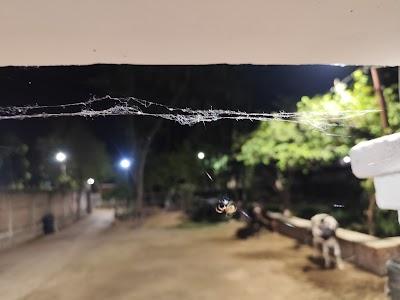 ELECWXGK93HH_Satyam_Singh__Electric___Broadband__ChIJ6eUp99Ef8jkR39BS9ZeNCUk_9