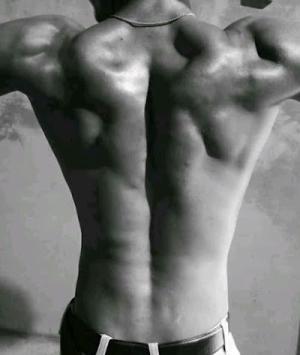 GYME0V87HRQ2_BOSS_FITNESS_ChIJdR1vO10p8jkRm1ahU5RLZvI_6