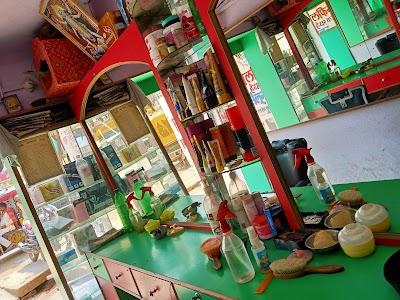 PARLQNNO09HN_Dollfin_ChIJ5_Ruhxkr8jkR-99UPUDRgJA_1