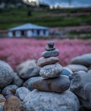 STATNU9M8SVA_Rose_print_ChIJ2VH4Rusb8jkRjWSErqm13xI_10